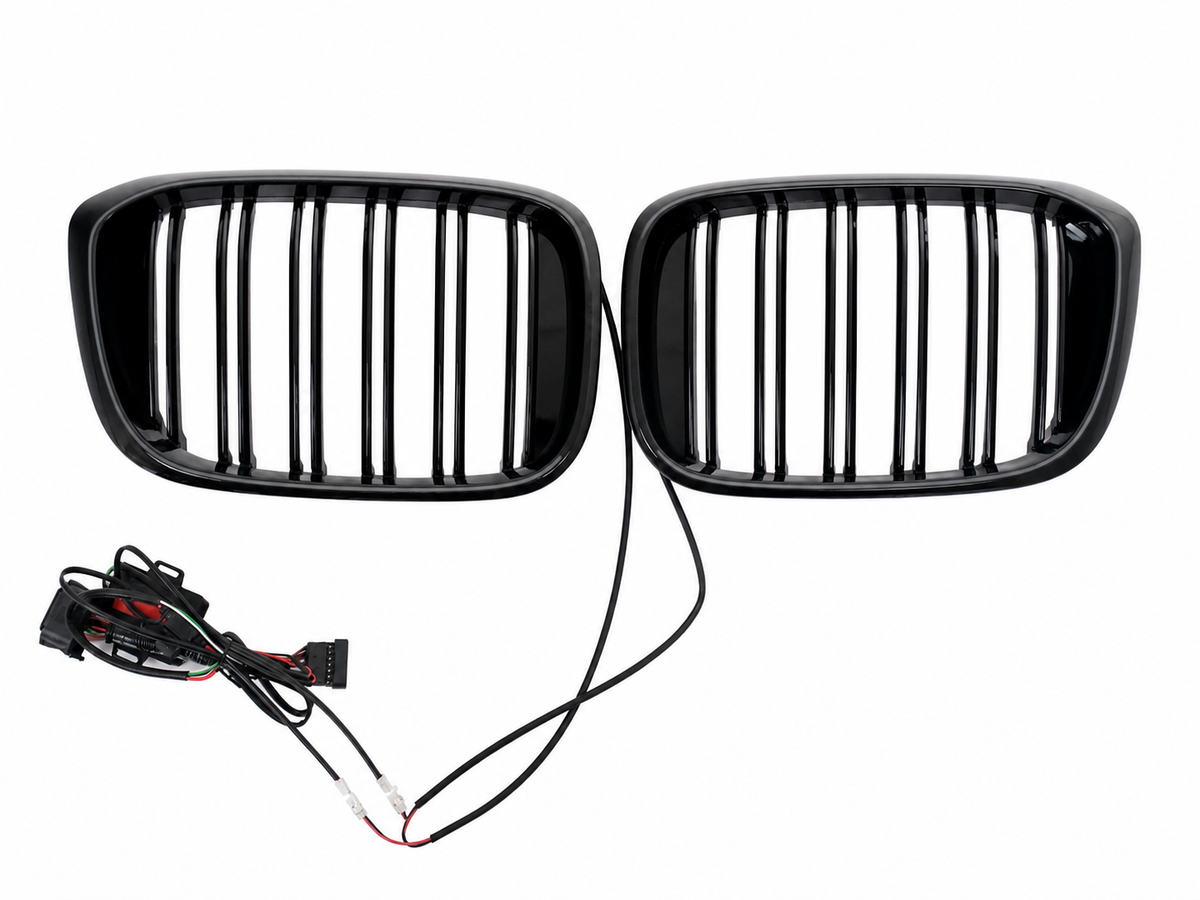 Kühlergrill Beleuchtete Nieren Grills mit LED für BMW X3 G01 X4 G02 2018–2020 Doppelstreifen Carpartstuning Austria