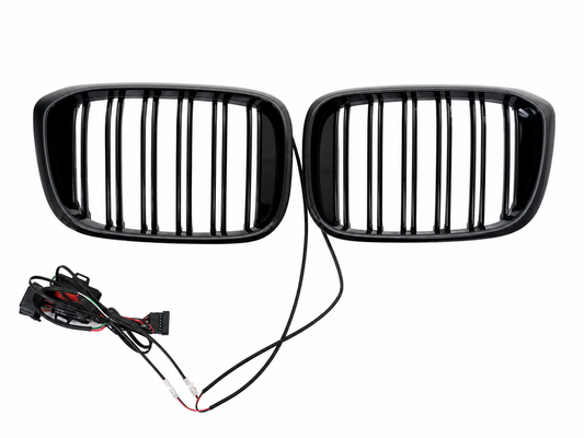 Kühlergrill Beleuchtete Nieren Grills mit LED für BMW X3 G01 X4 G02 2018–2020 Doppelstreifen Carpartstuning Austria